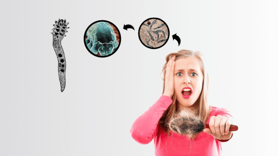 treat demodex | ungex