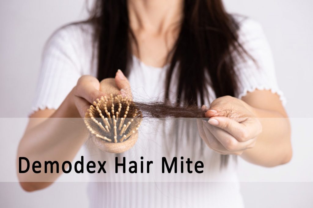 Demodex hair mite infestation on humans Ungex Ungex Demodex treatment