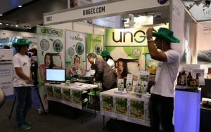 salon-melbourne-mite-test-hairloss-10-960x600_c | Ungex | Demodex