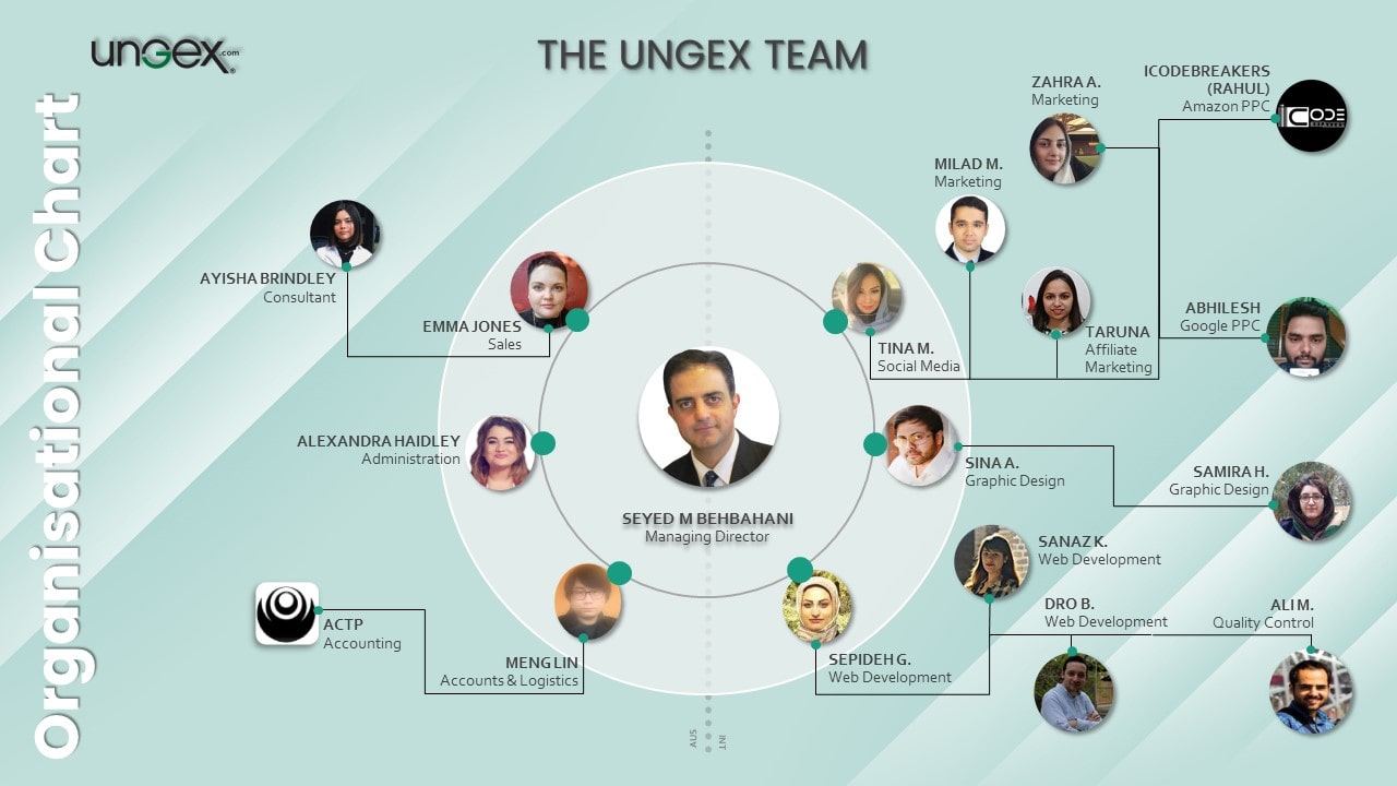 Ungex Organisation Chart