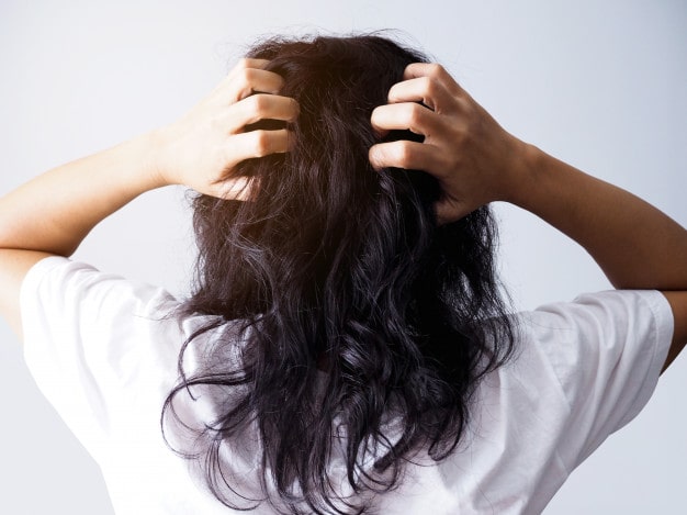 Hair mites | Ungex