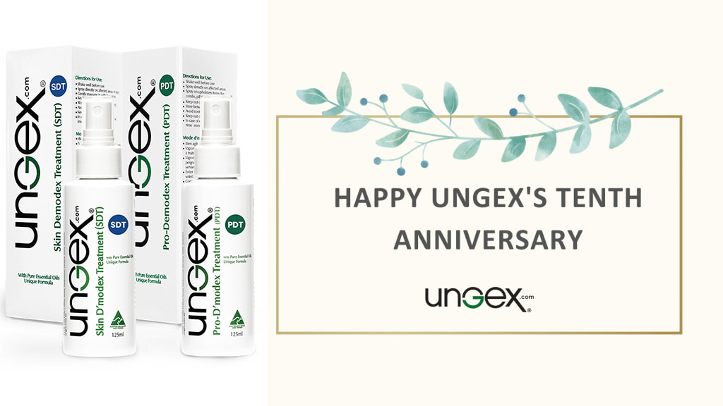 Ungex tenth anniversary