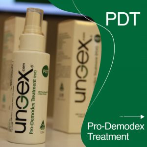 congress | ungex