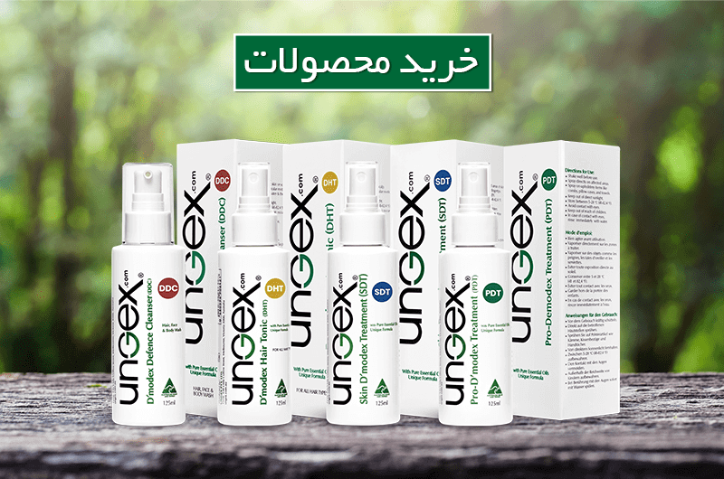فروشگاه آنجکس