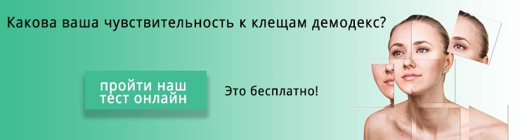 Quiz-Banner