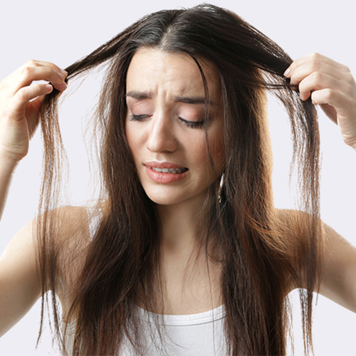 Hair-thining-Demodex mites