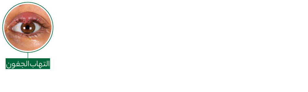 Order Now Arabic | Ungex