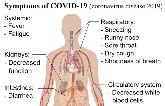 Symptoms of COVID-19