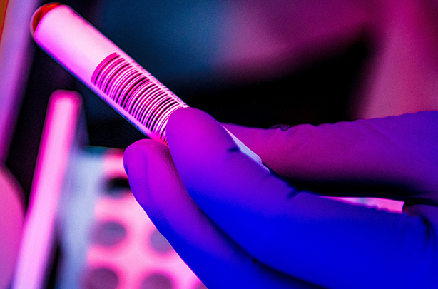 Vaccine