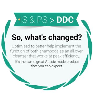 DDC ersetzt IS und PS